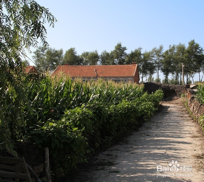 怎么安慰分手的人