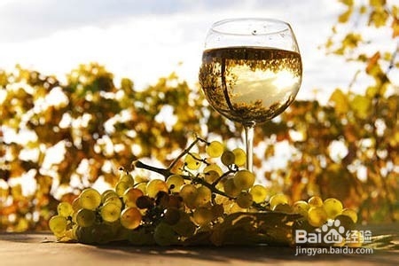 自制葡萄酒的危害