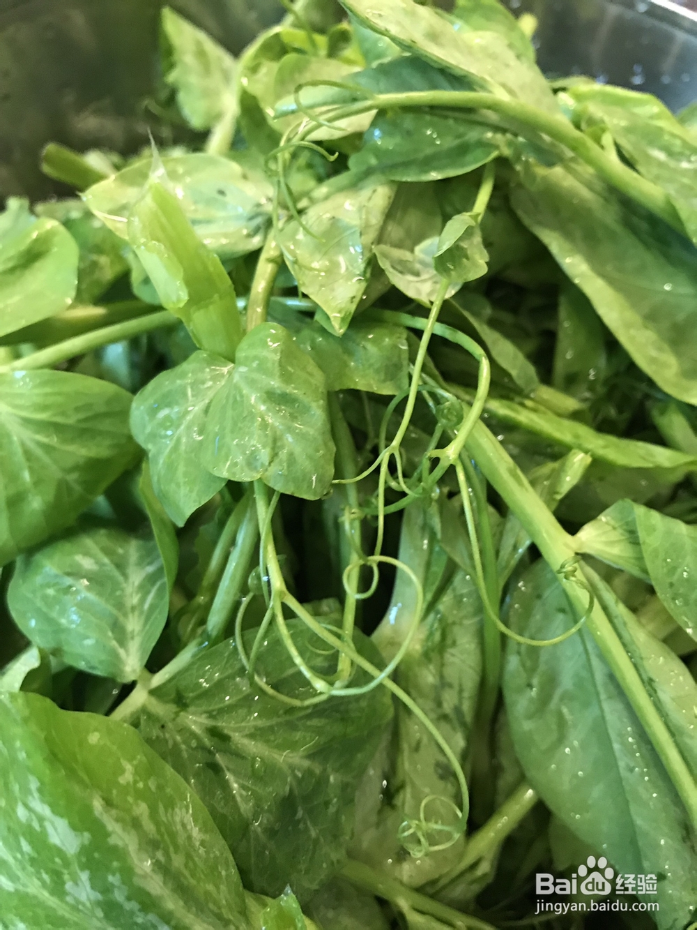 不会剩的培根炝豌豆尖满口