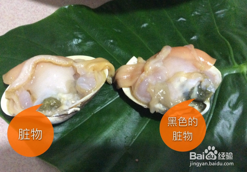 鲜北极贝的做法及清洗方法