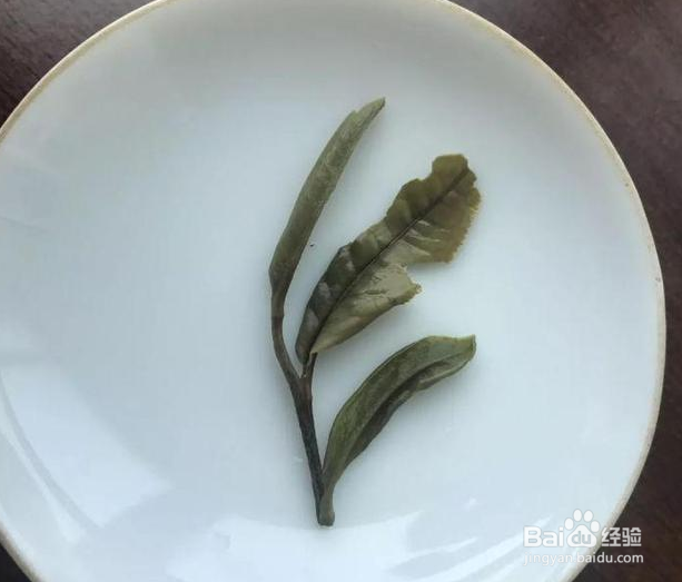 茶叶的芽与叶怎么分辨