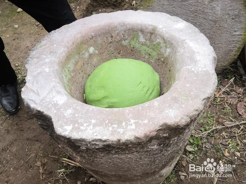 传统做法青饺的做法