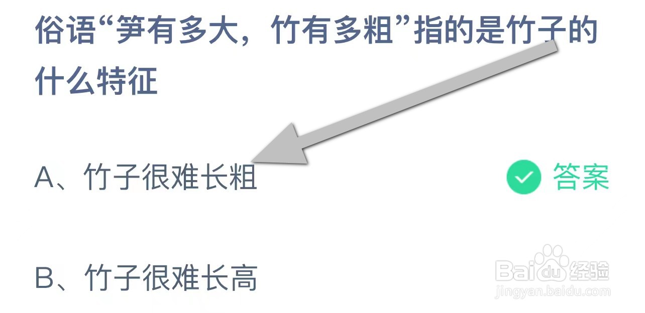 蚂蚁庄园俗语笋有多大竹有多粗指竹子的什么特征