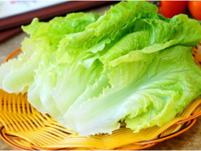 南方的青菜是什么菜