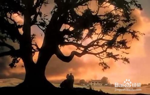 适合初学者的英文原著书单来啦~