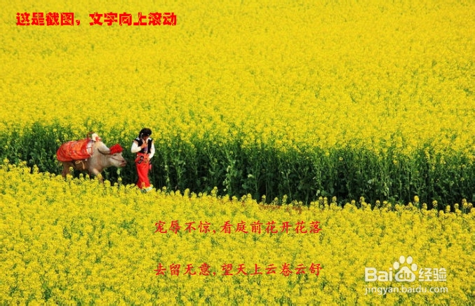 怎样在图片上加移动字