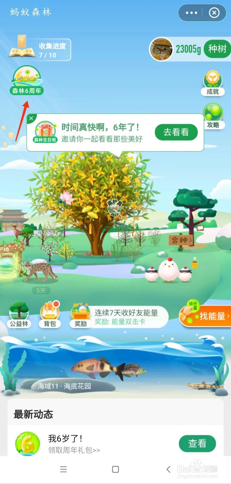 支付宝蚂蚁森林6周年礼物怎么领取