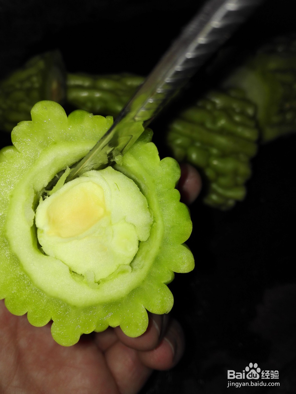 怎样制作苦瓜煎蛋?