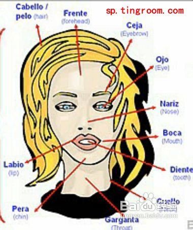 德语口语常用表达4德语问候表达