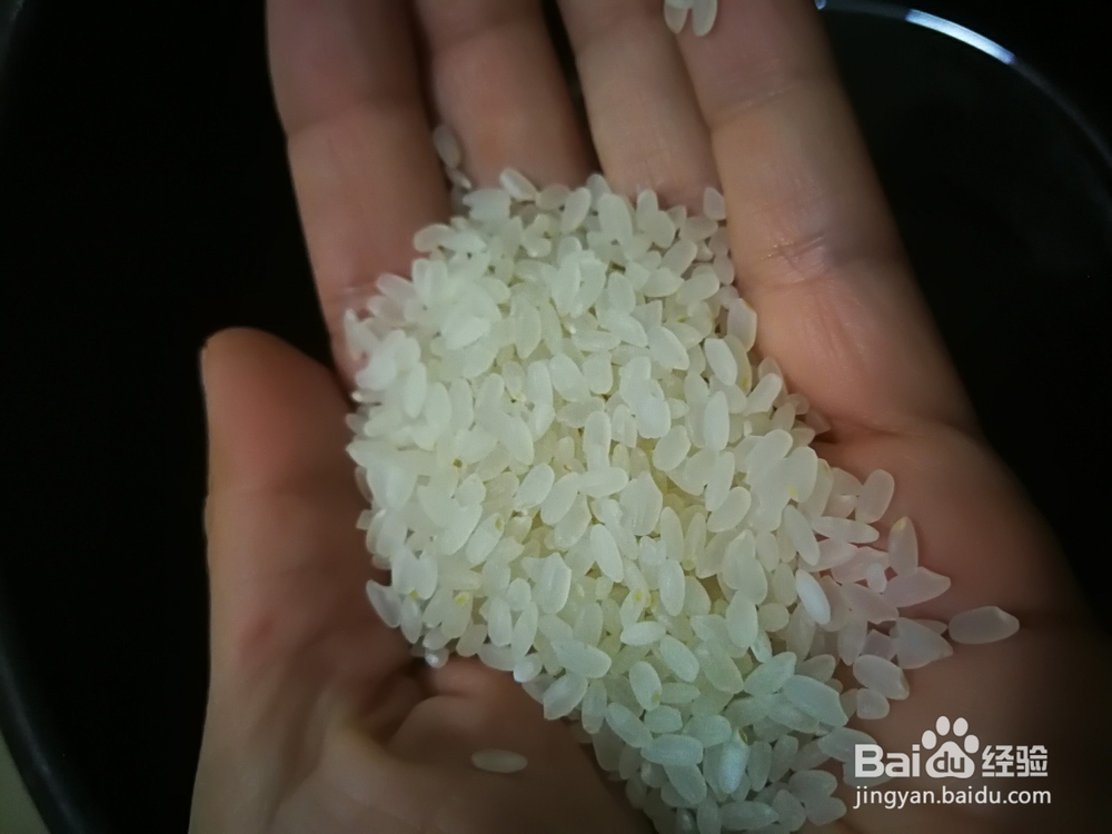 简单易操作的早餐粥——二米绿豆粥