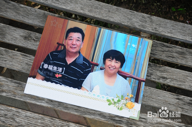 生活画册基本概念入门之内容分类篇