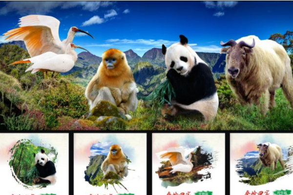 秦岭四宝吉祥物名字