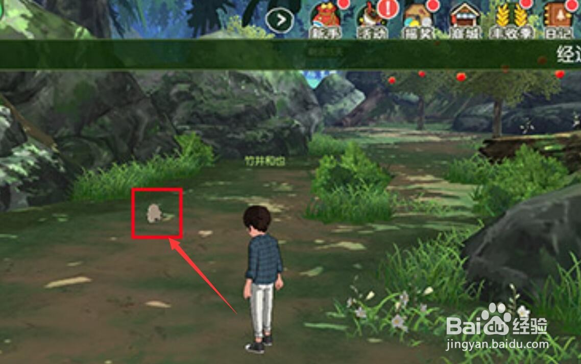 小森生活青草团子怎么获得