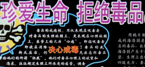 作为一名小学生可以为禁毒工作做些什么呢