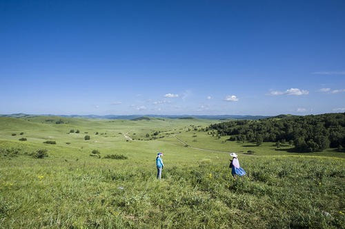 天地人你我他组词说句