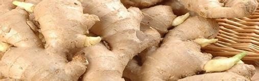 挑选生姜时要注意是否被硫磺“美容”过