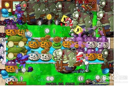 植物大战僵尸泳池无尽版攻略
