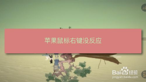 苹果鼠标右键没反应 百度经验 苹果鼠标右键没反应 百度经验