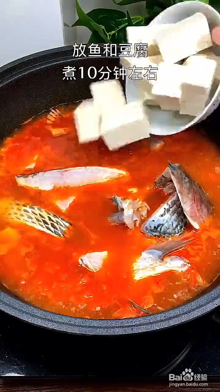 如何制作酸汤鱼？