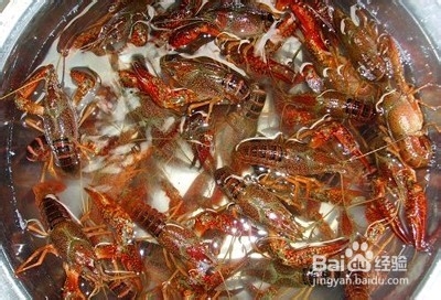 长沙有哪些好吃的