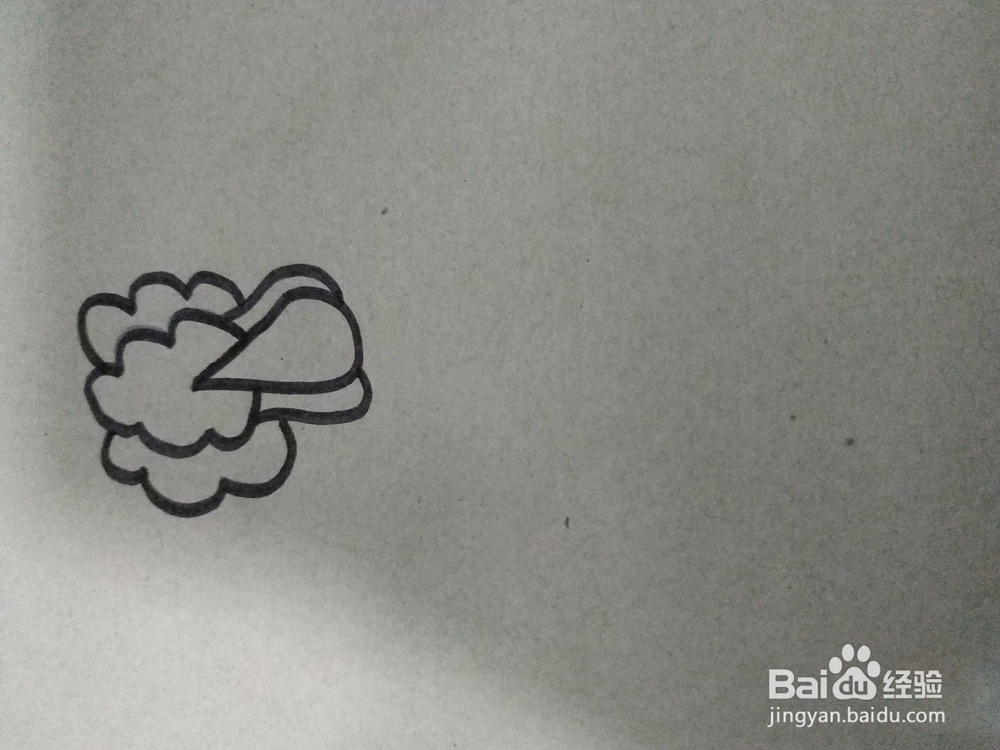 白菜的简笔画教程