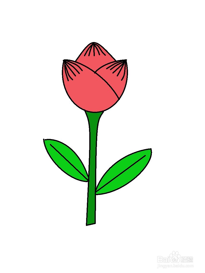 画郁金香的简单方法