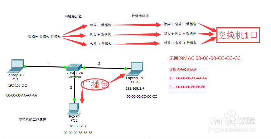 #交换机#-交换机的工作原理从这几点理解