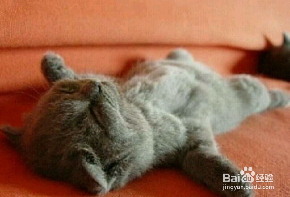 怎样的睡姿更健康