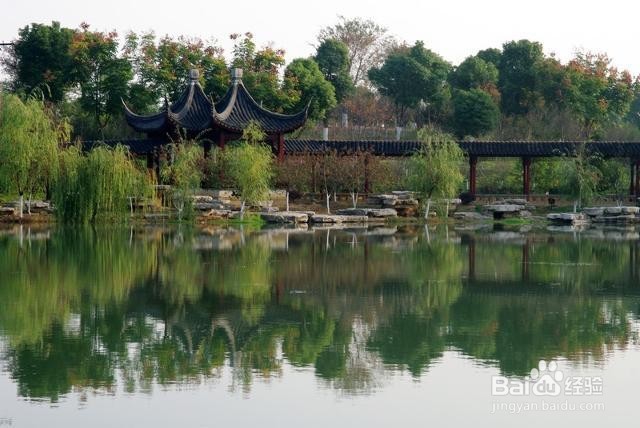 八大山人梅湖景区攻略