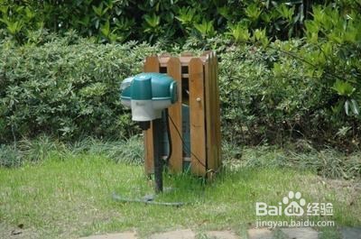 私家庭院如何防治蚊虫