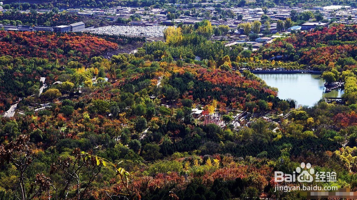 北京北宫国家森林公园旅游攻略
