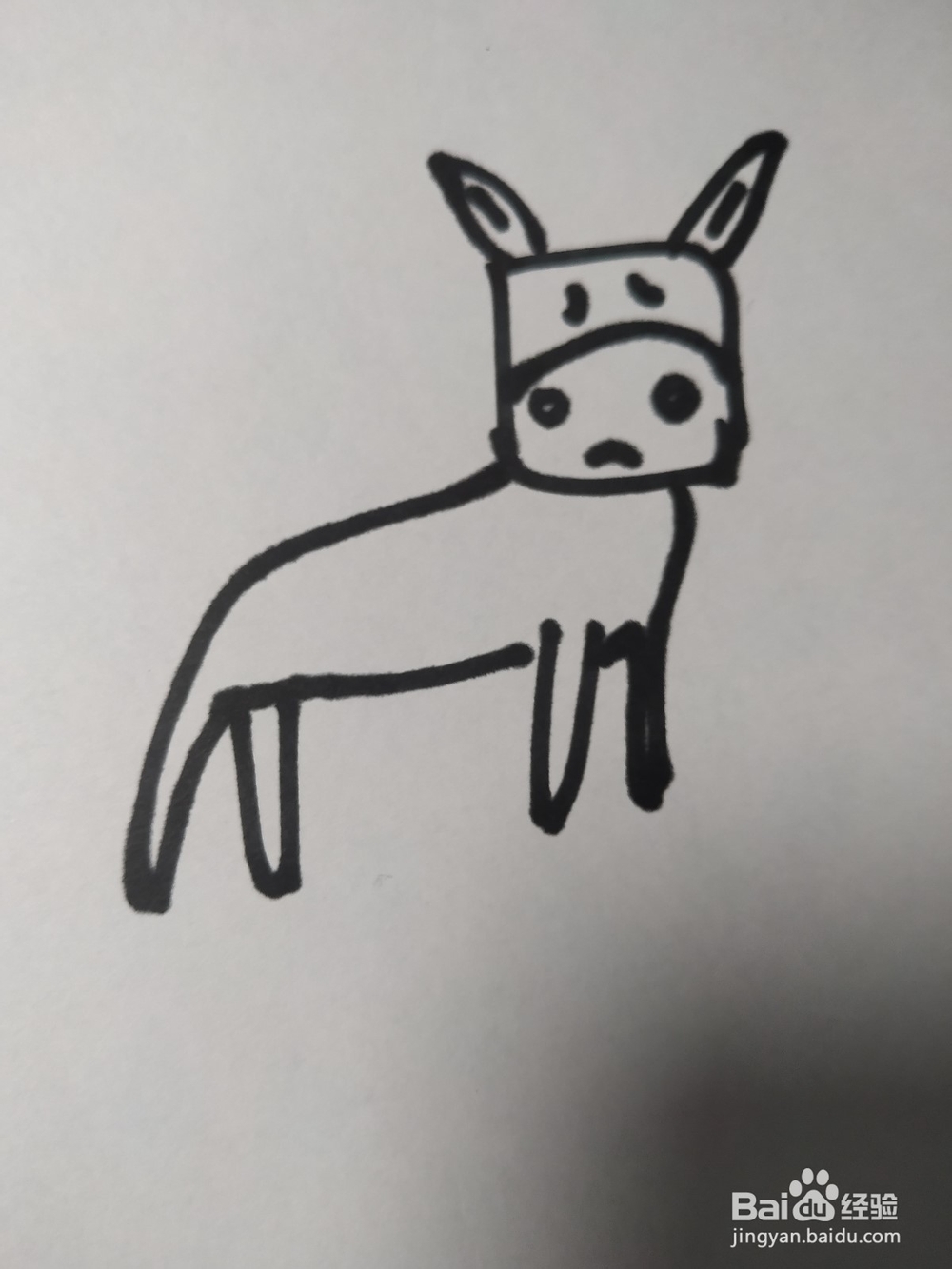 毛驴的简笔画技法2