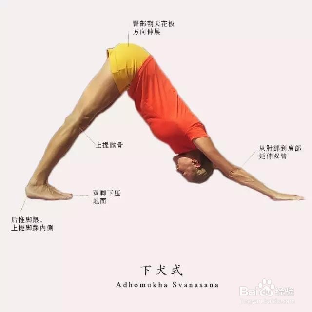 瑜伽养生：这个冬天不再“冷”
