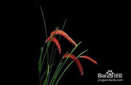 在上海,居住证有什么用及如何办理居住证