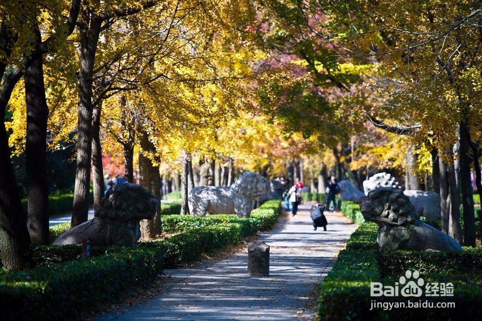 2017华东五市旅游攻略