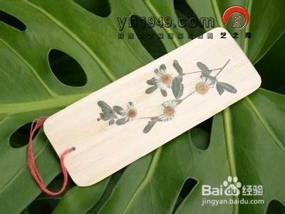 怎么制作简单实用的干花书签