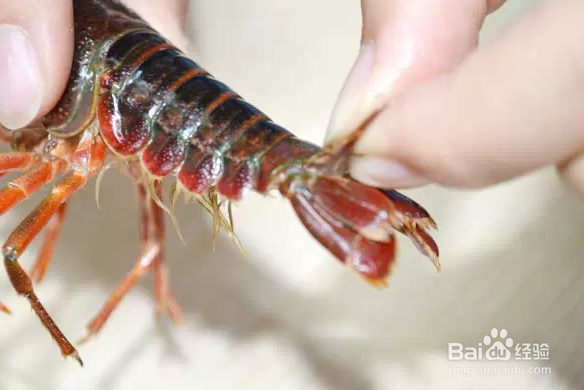 如何清洗小龙虾。