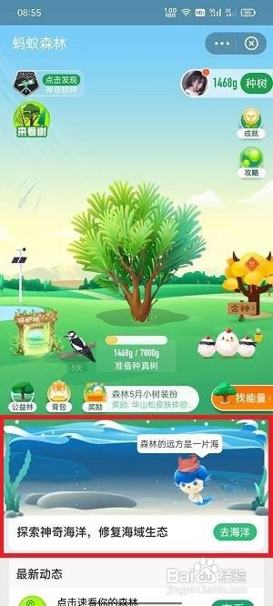 支付宝神奇海洋怎么进入