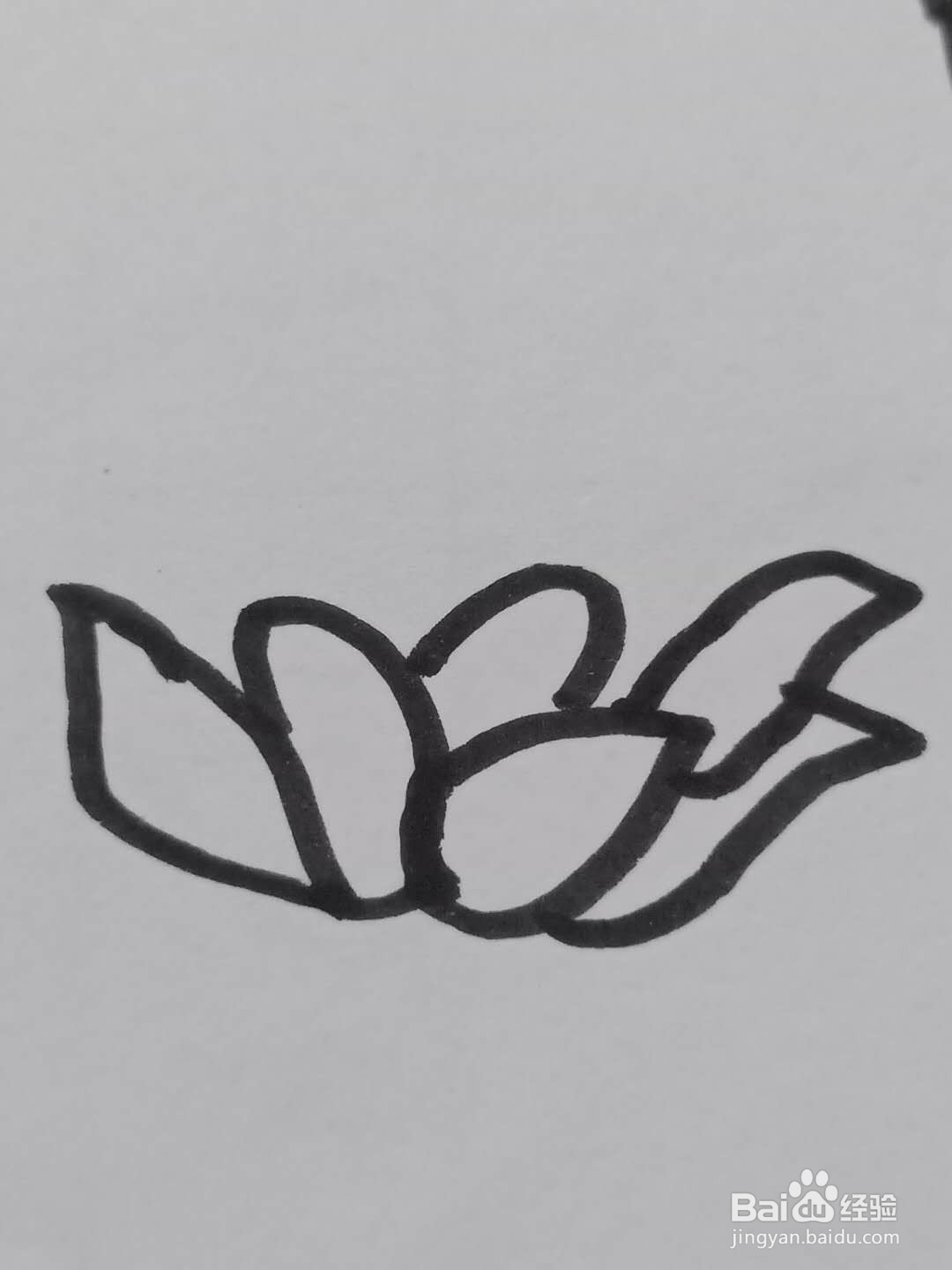 怎样画荷花