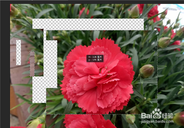 Photoshop选区工具怎么用？PS怎么使用选区工具