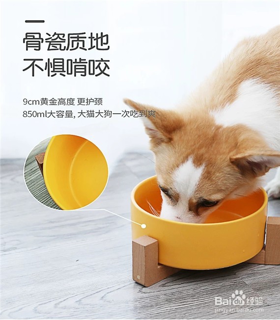 如何选购哑光陶瓷木架狗食盆