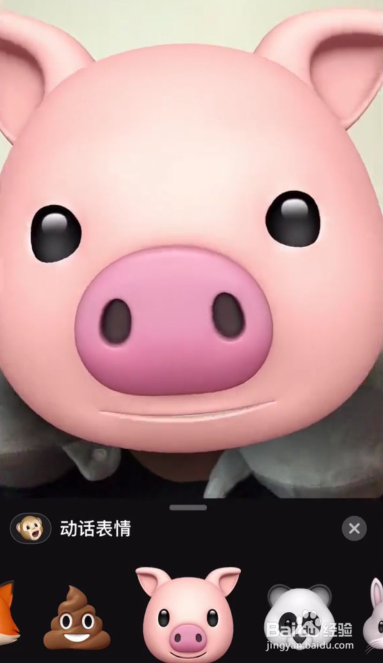 iphone怎么弄猪脸