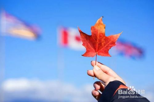 加拿大留学申请的几个重要阶段你了解吗？