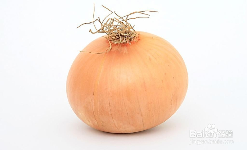 怎样的洋葱好吃