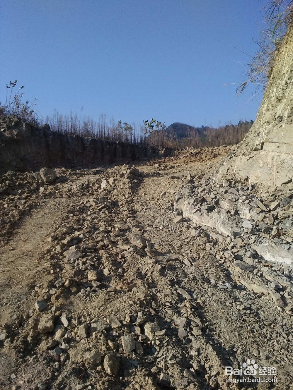 扶贫实现鸣凤人乡村旅游梦想记实