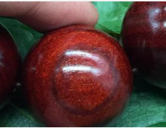 小叶紫檀盘玩后什么颜色最好