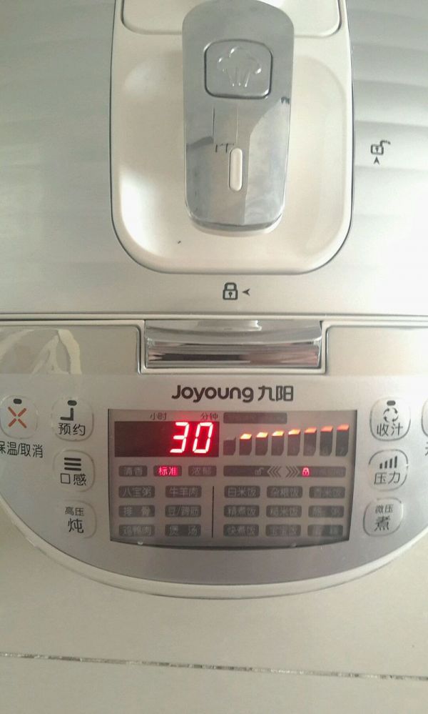 红豆红枣黑米粽子