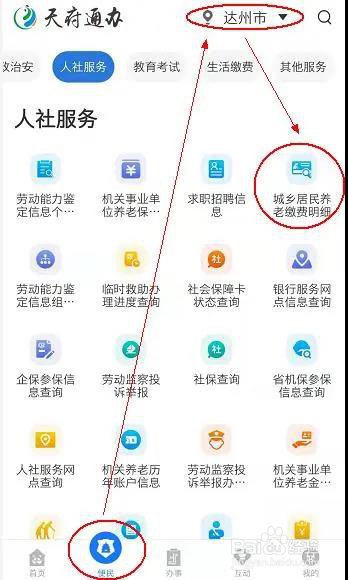 天府通办怎么查询社保缴费明细