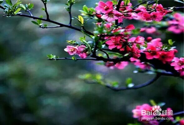 怎样才能调理好肠胃 吃什么养胃