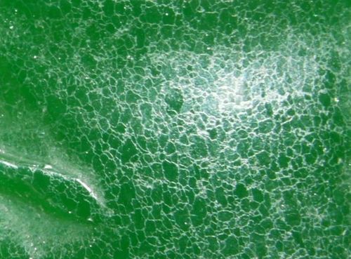 怎样识别a货翡翠